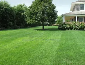 Fantastic Compound Decoree