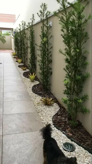 Level One Compound Decor
