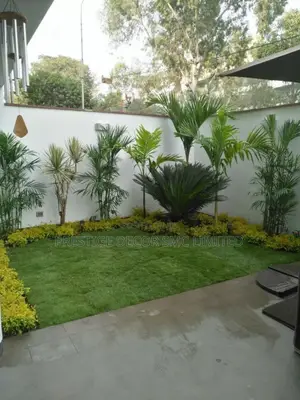 Classy Designs Compound
