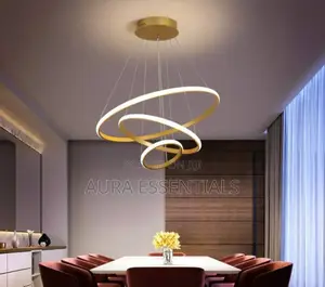 Aluminum Modern Outside Ring Chandelier Light