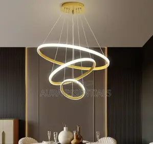 Aluminum Modern Outside Ring Chandelier Light