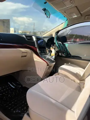 Toyota Alphard 2010 Brown
