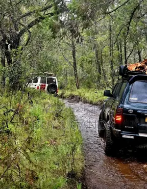 Travel Safaris at Discounted Prices