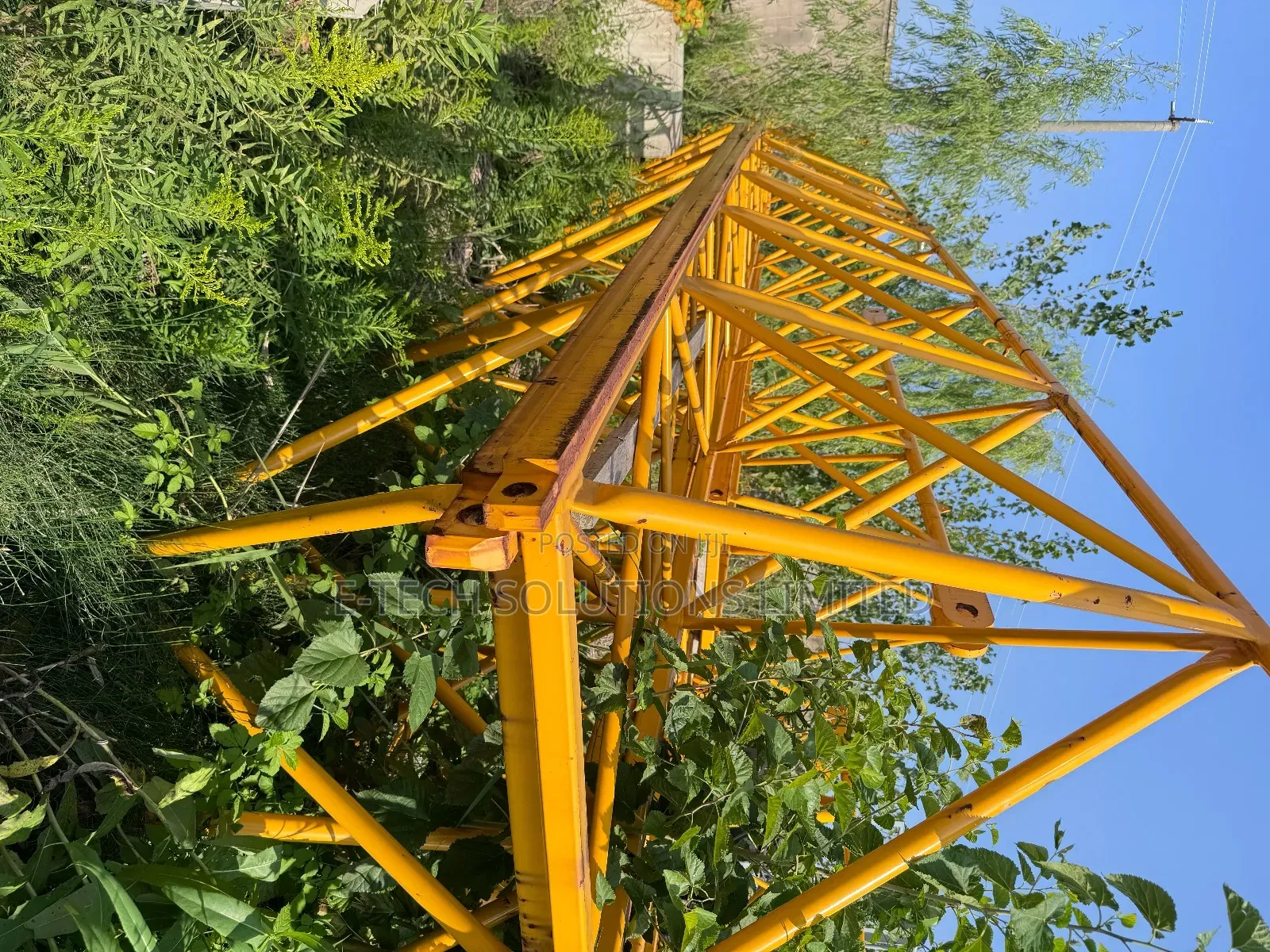 Tower Crane