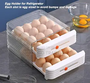 Double Deck Egg Storage Box
