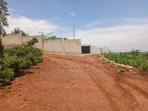 50by100 Plot for Sale in Nakasaja Gayaza