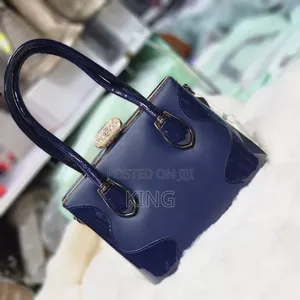 Sumptuous Handbag