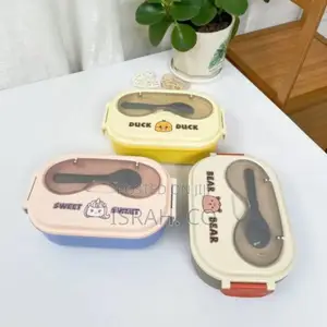 Portable 2 Compartment Insulated Lunch Box Stainless Steel