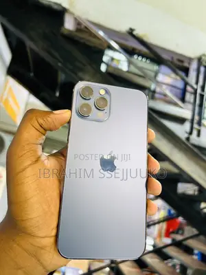 Apple iPhone 12 Pro Max 256 GB Blue