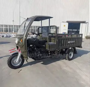 New Tricycle 2025 Green