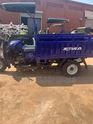 New Tricycle 2024 Blue