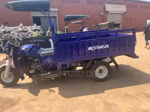 New Tricycle 2024 Blue