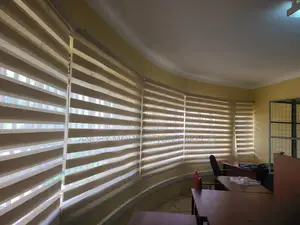 Turkish Zebra Bliblind Curtains