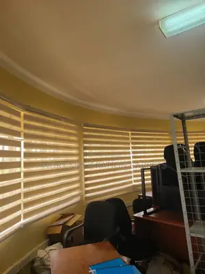 Turkish Zebra Bliblind Curtains