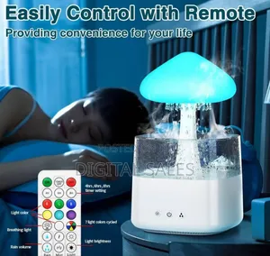 New Portable Rain Cloud Humidifier