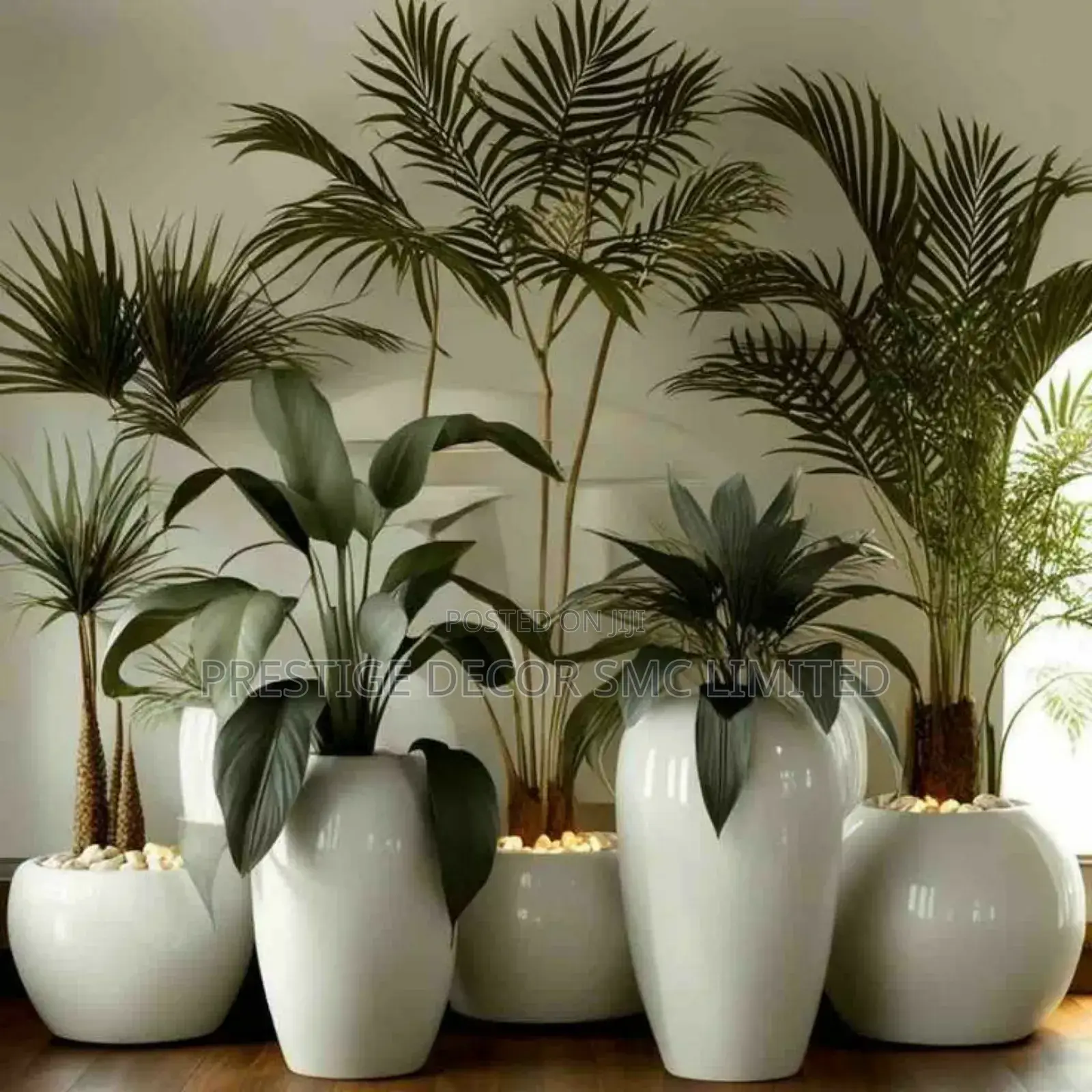 Modern Plants en Pots Design