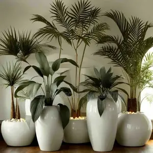 Modern Plants en Pots Design