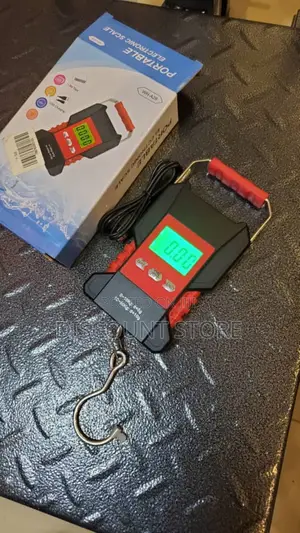 Portable Electronic Weighing Scale 50kg Electronic Scale