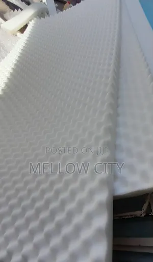 Echo Controlling Foam