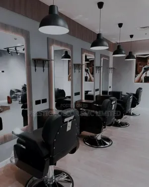 Beautiful Saloon Chairs Amazing Decor