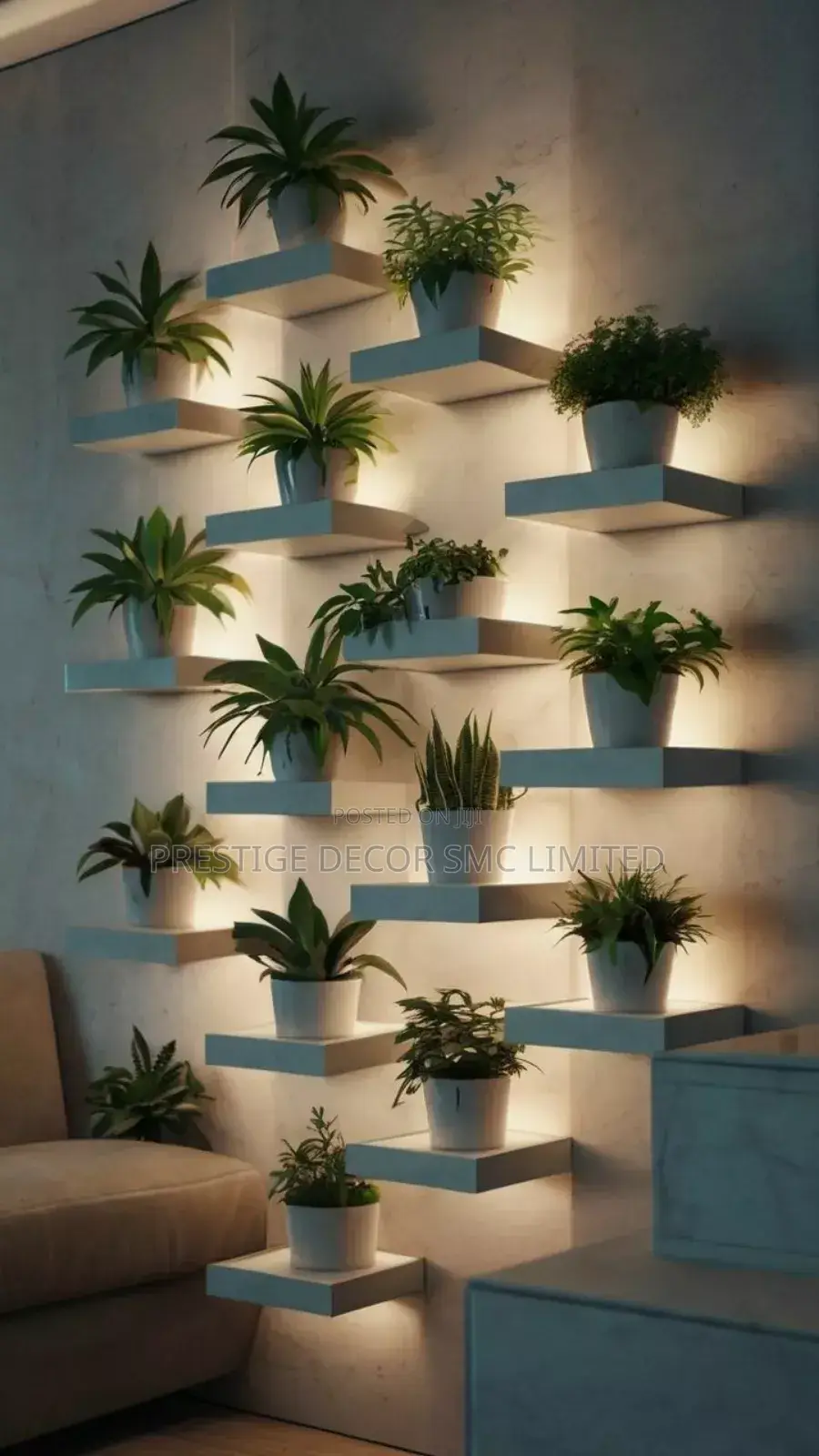 Amazing Plants Shelf