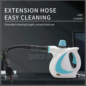 Portable Handheld Steam Cleaner