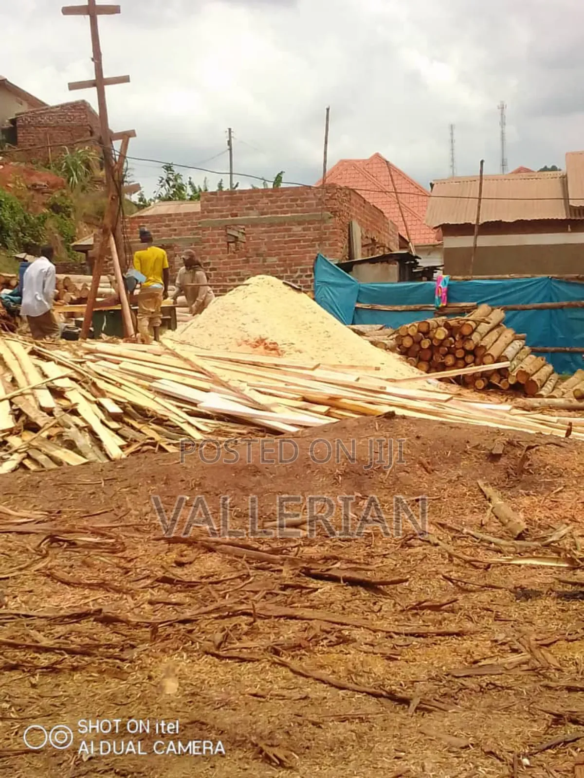 Saw Dust Epumbu
