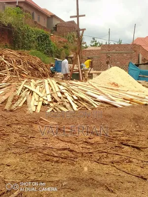 Saw Dust Epumbu