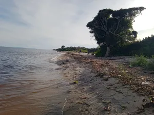 Beach Land Touching Water 300 Acres Masaka Kalisizo
