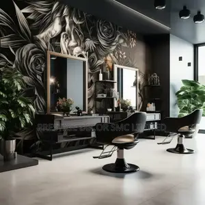 Apex Design of Mirrors in Saloon.
