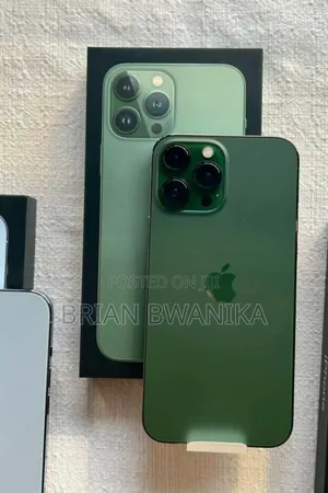 New Apple iPhone 13 Pro Max 256 GB Green