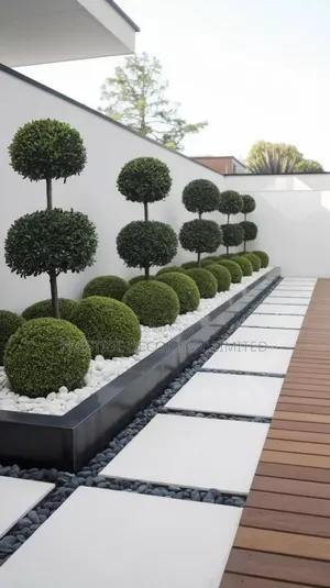 Unique Compound Decor. Fancy. Bb