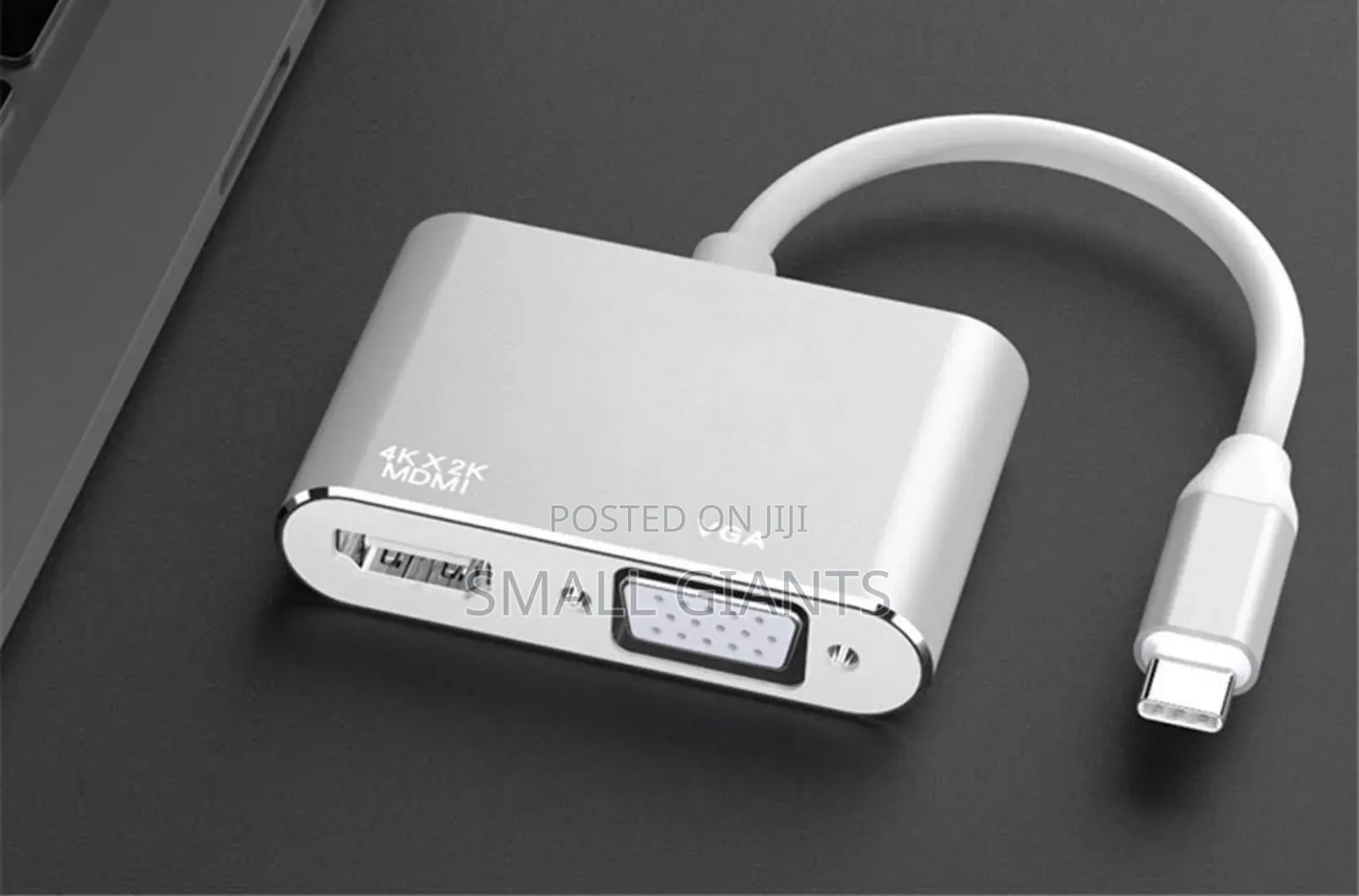 2 in 1 Usb 3.1 Type C to Vga Hdmi Video Converter