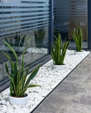 Acurate Beauty of Compound Design