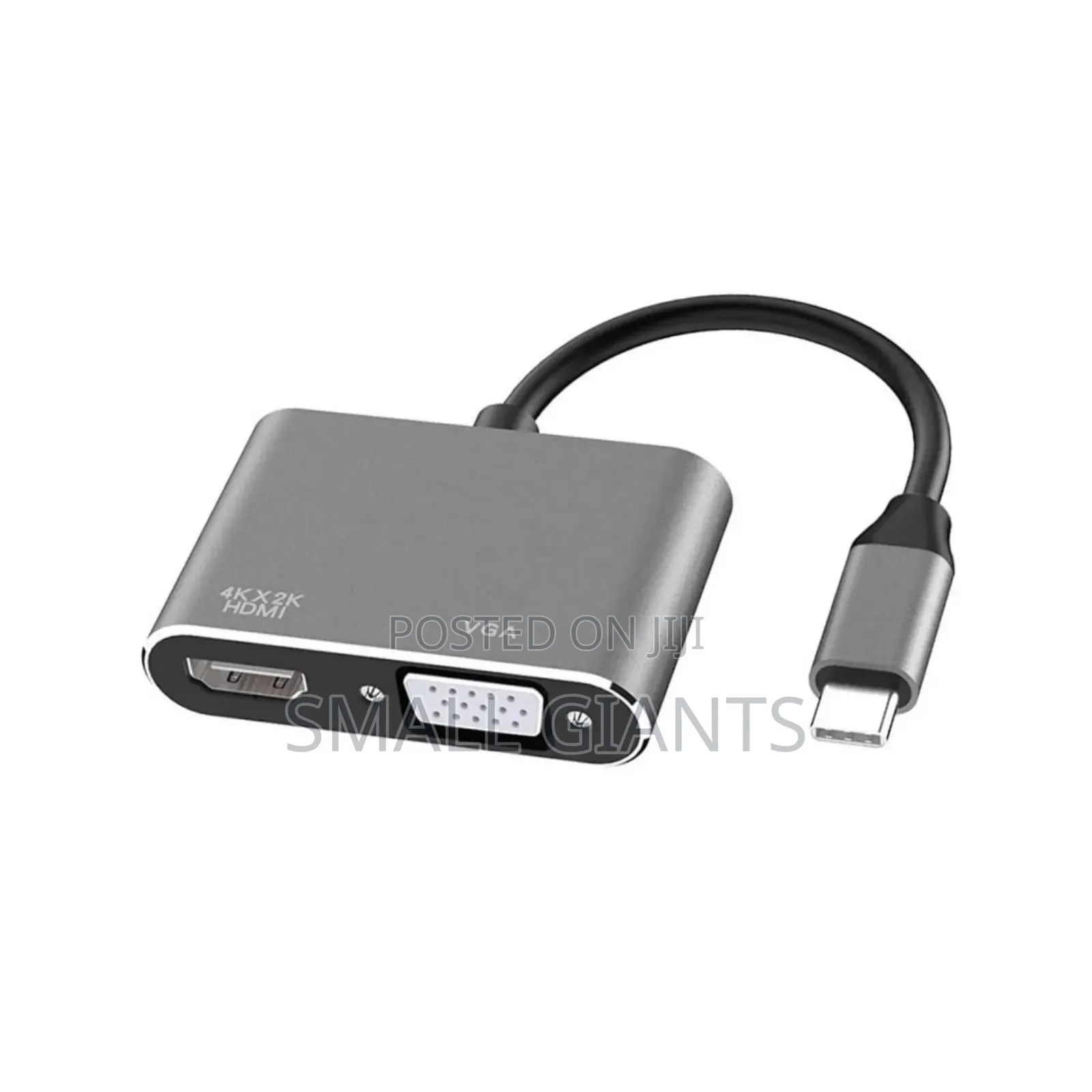 2 in 1 Usb 3.1 Type C to Vga Hdmi Video Converter