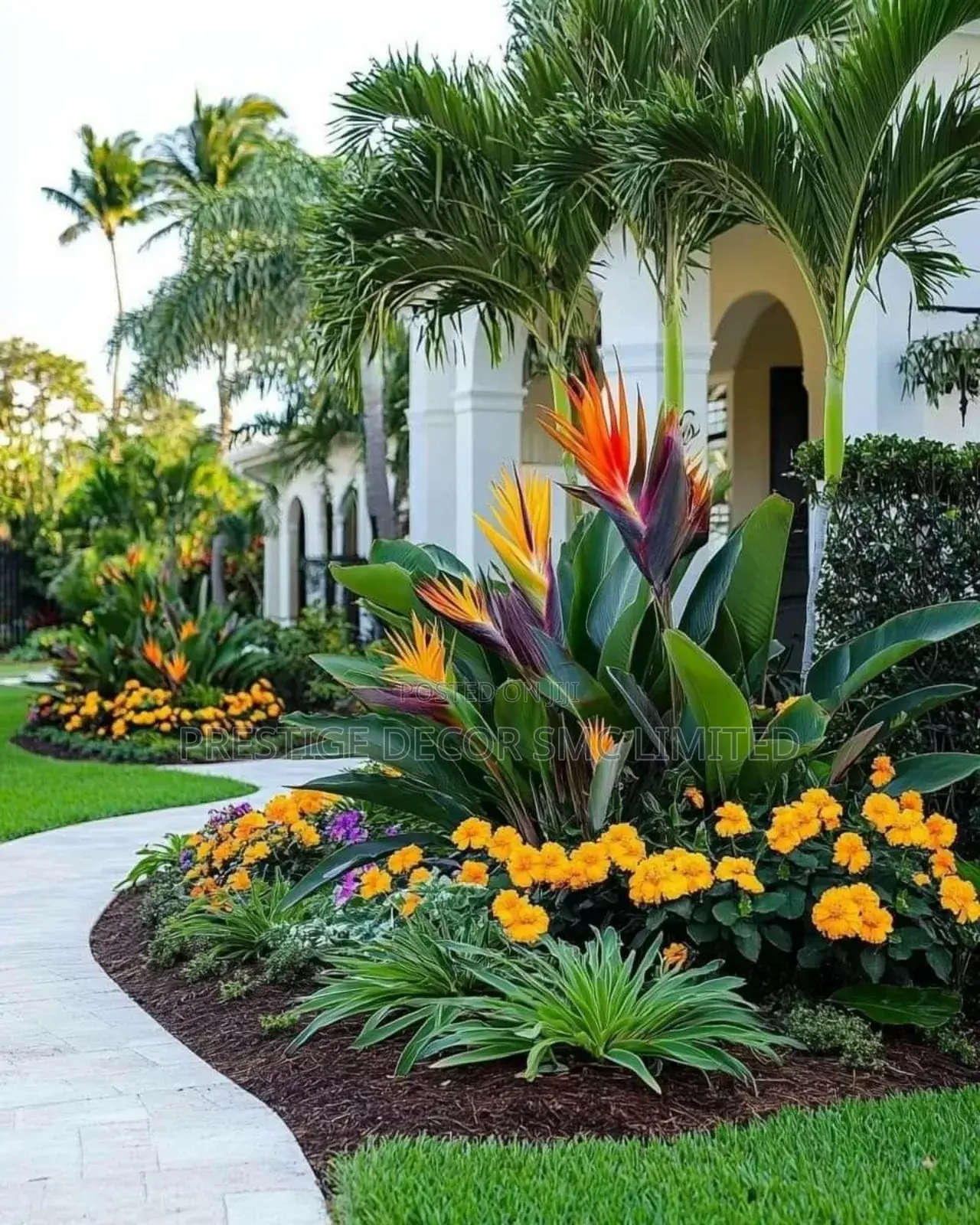 Fantastic Compound Fancy Design