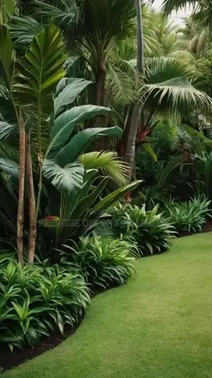 Fantastic Compound Garden