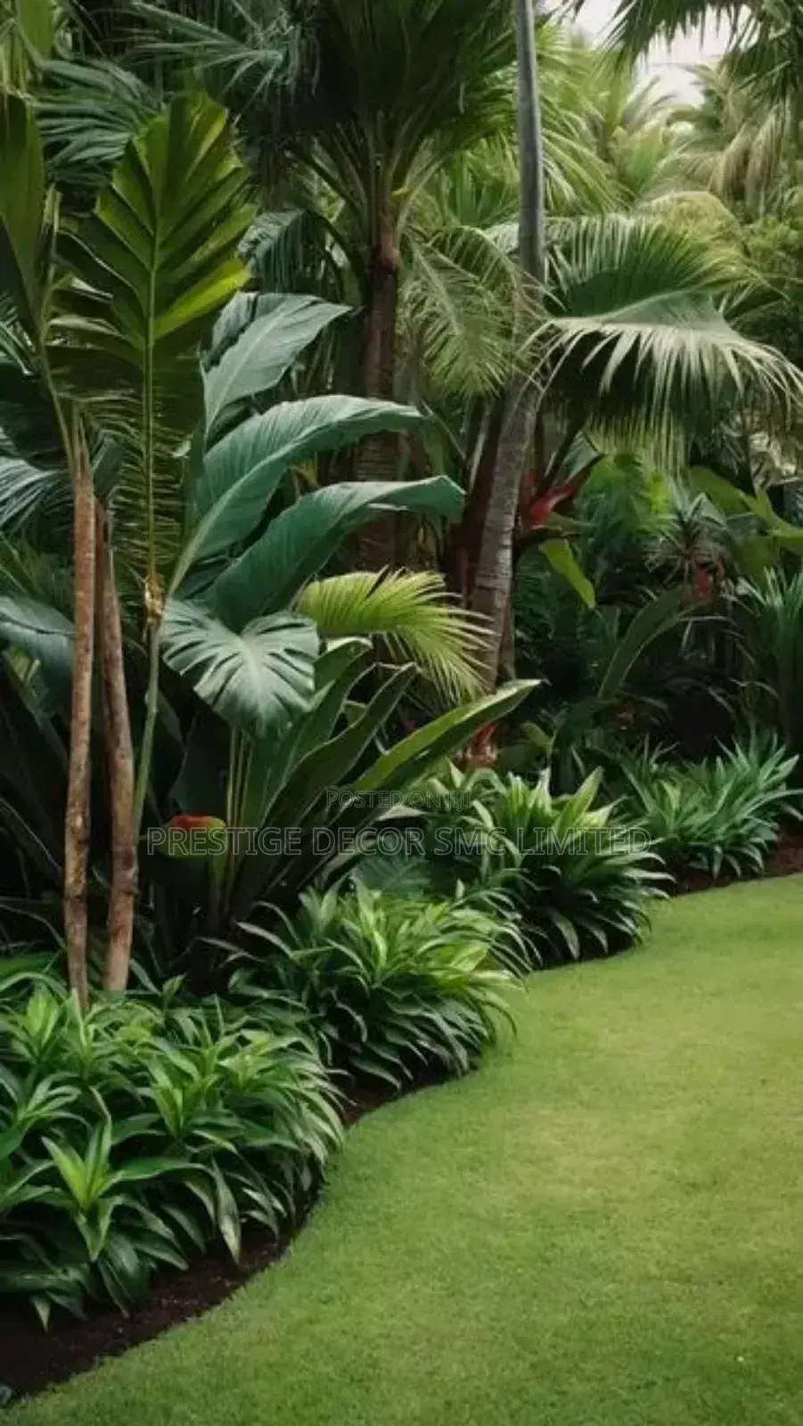 Fantastic Compound Garden