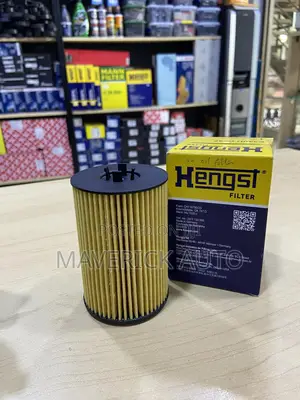 Vw Tiguan 2 Diesel Oil Filter