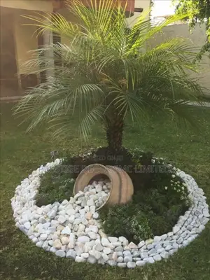 Majestic Compound Decoration. M