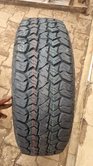 225/65r17 Wild Wolf a/T