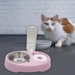 Pet Cat Bowl Automatic Feeder Water Dispenser