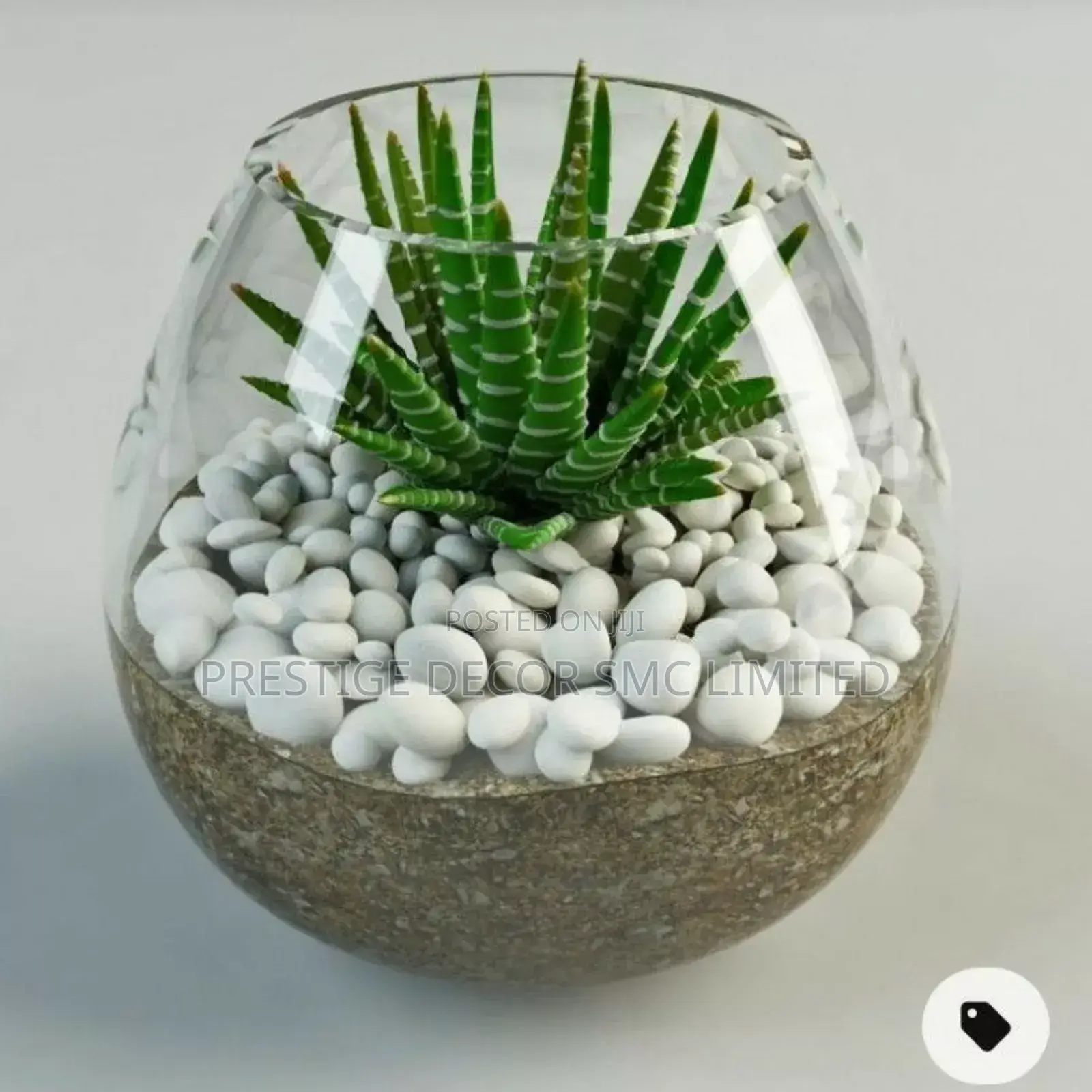 Beautiful Plants en Pots Latest Design