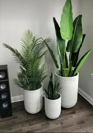 Beautiful Plants en Pots Latest Design