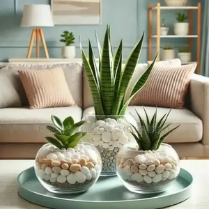 Classic Plants Wonderful Flower