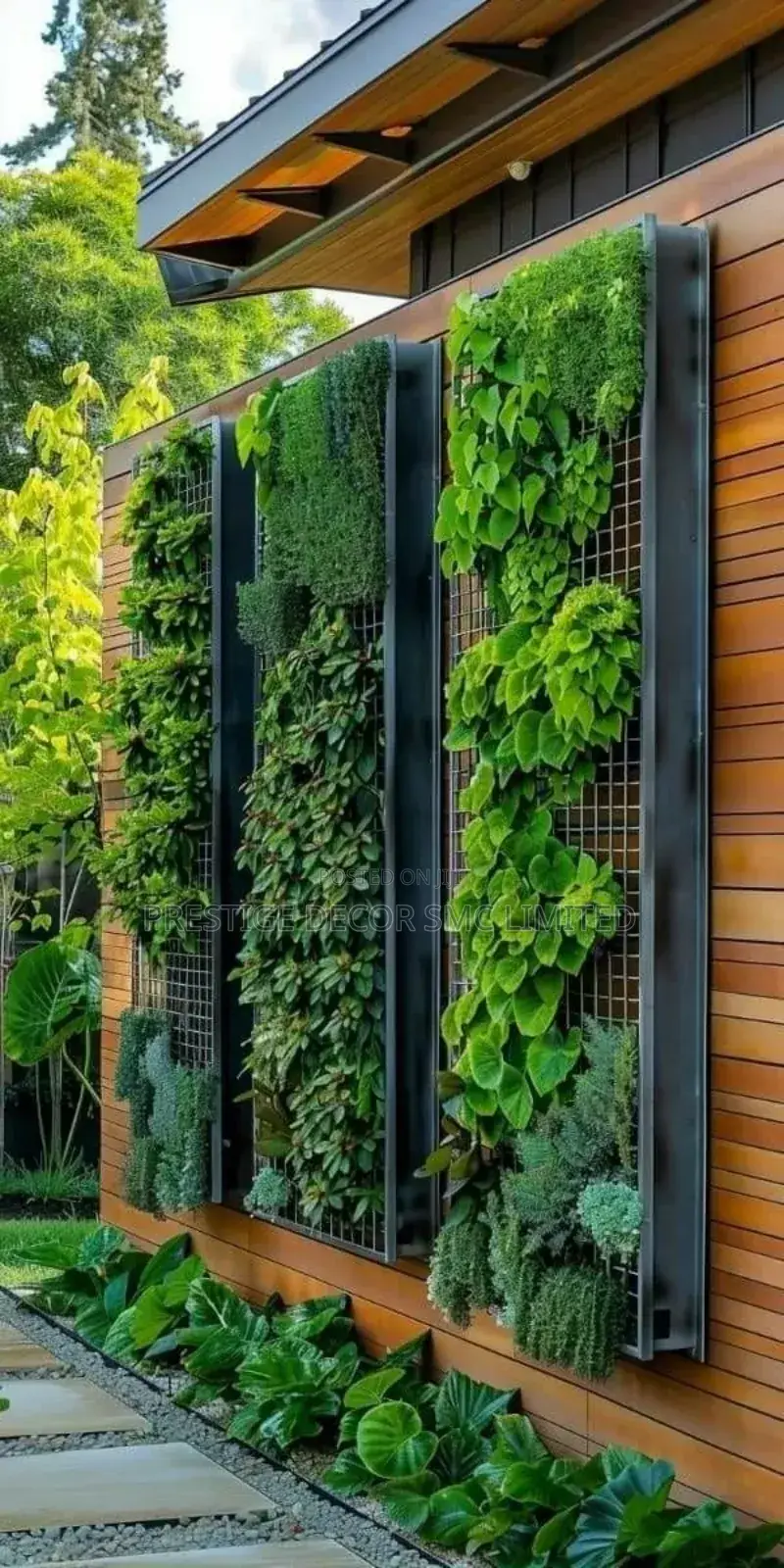 Home Decor Amazing Plants