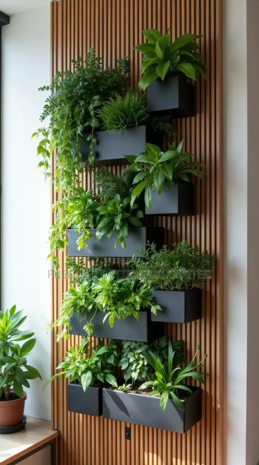 Fantastic Floating Flowers. Fancy