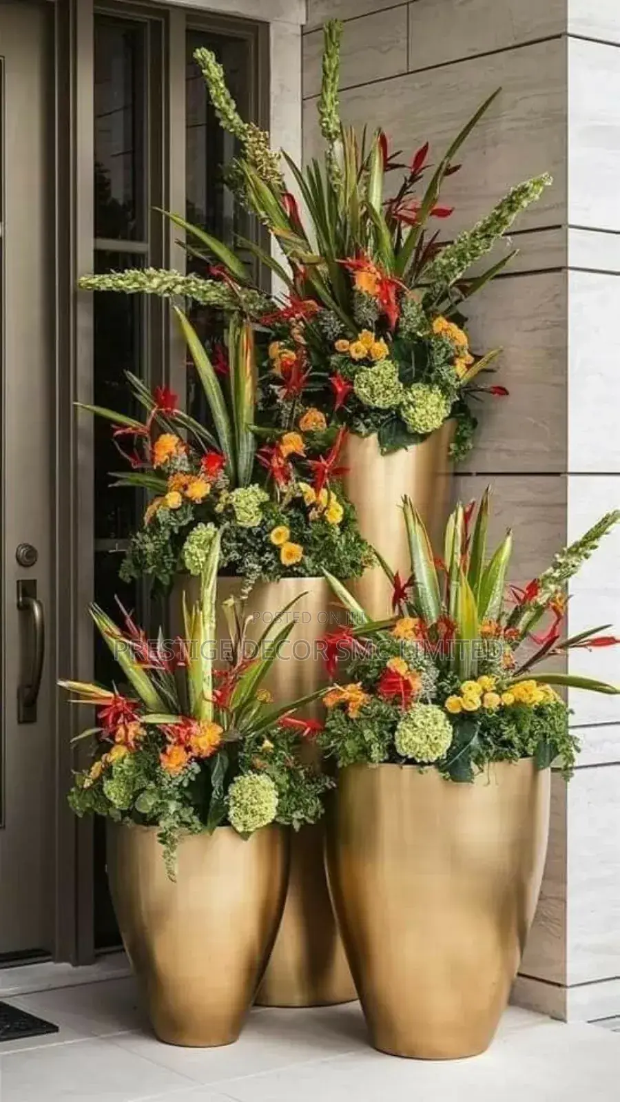 Beautiful Night Flowers
