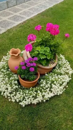 Amazing Pots Iconic Plants