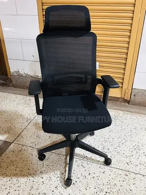 Guye Mesh Executive Office Chair
